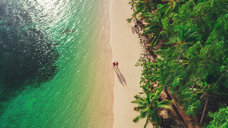 Tropical beach